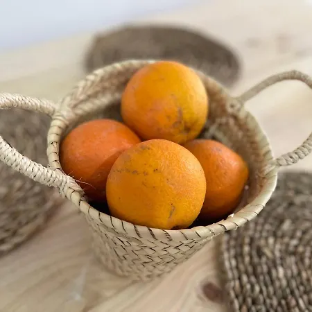 公寓 Bonita Atico E Plaza Mayor Con Gran Terraza 阿尔兹拉